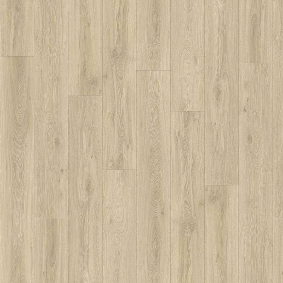 Blackjack Oak 22215